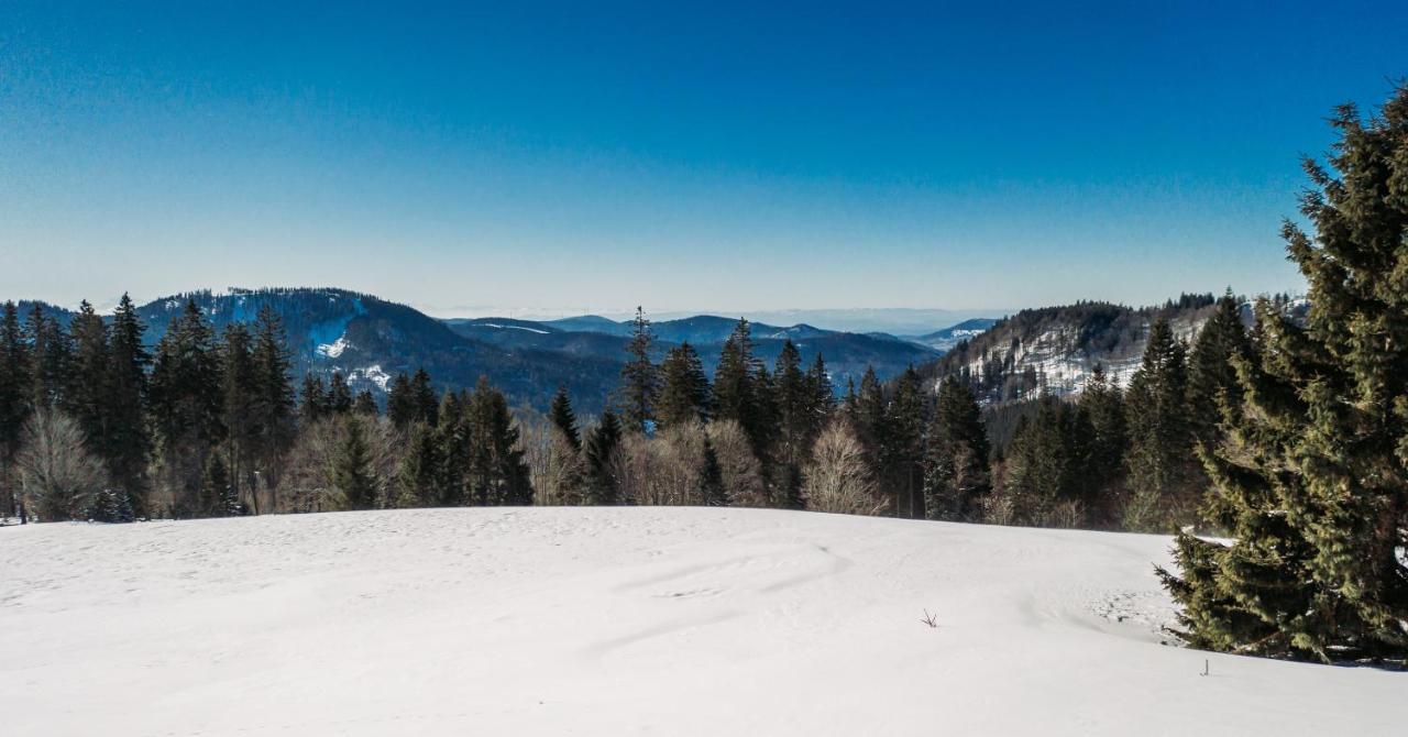 Berggasthof Zur Todtnauer Huette Feldberg  Exterior foto