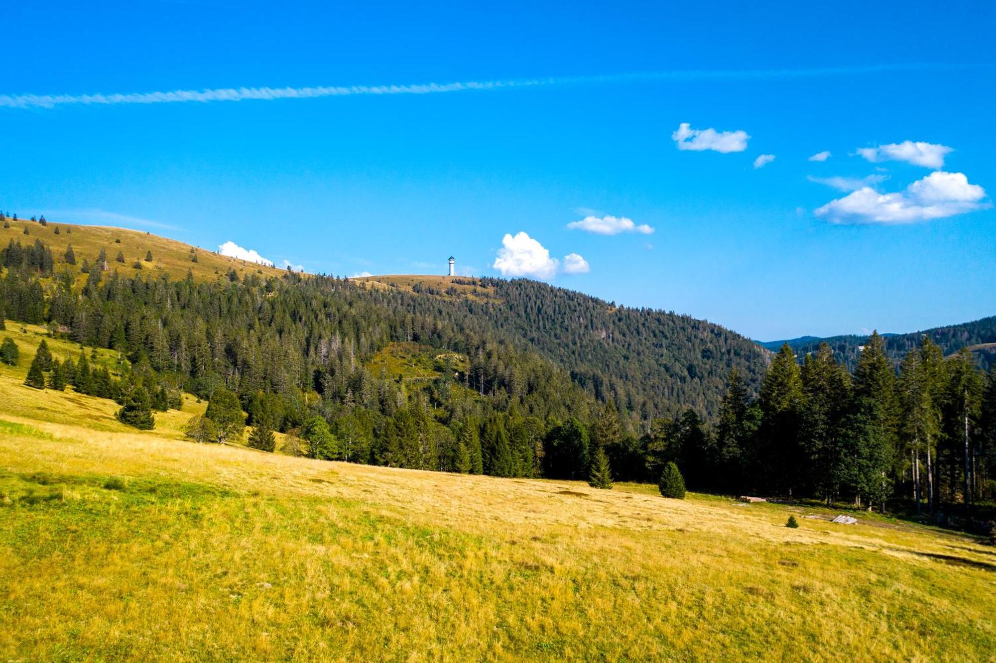 Berggasthof Zur Todtnauer Huette Feldberg  Exterior foto